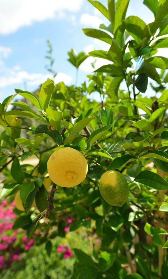 Podere Chiocciola Poggibonsi Εξωτερικό φωτογραφία